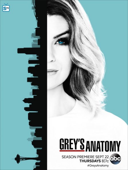 greys-anatomy-season-13-poster