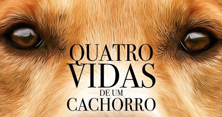 Resultado de imagem para quatro vidas de um cachorro gif