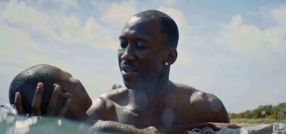 Moonlight Filme Drama