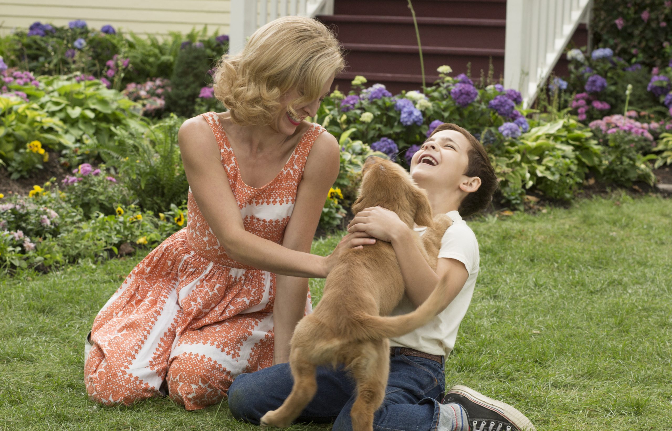 Crítica | Positivamente, Quatro Vidas de Um Cachorro difere dos clássicos filmes sobre animais de estimação