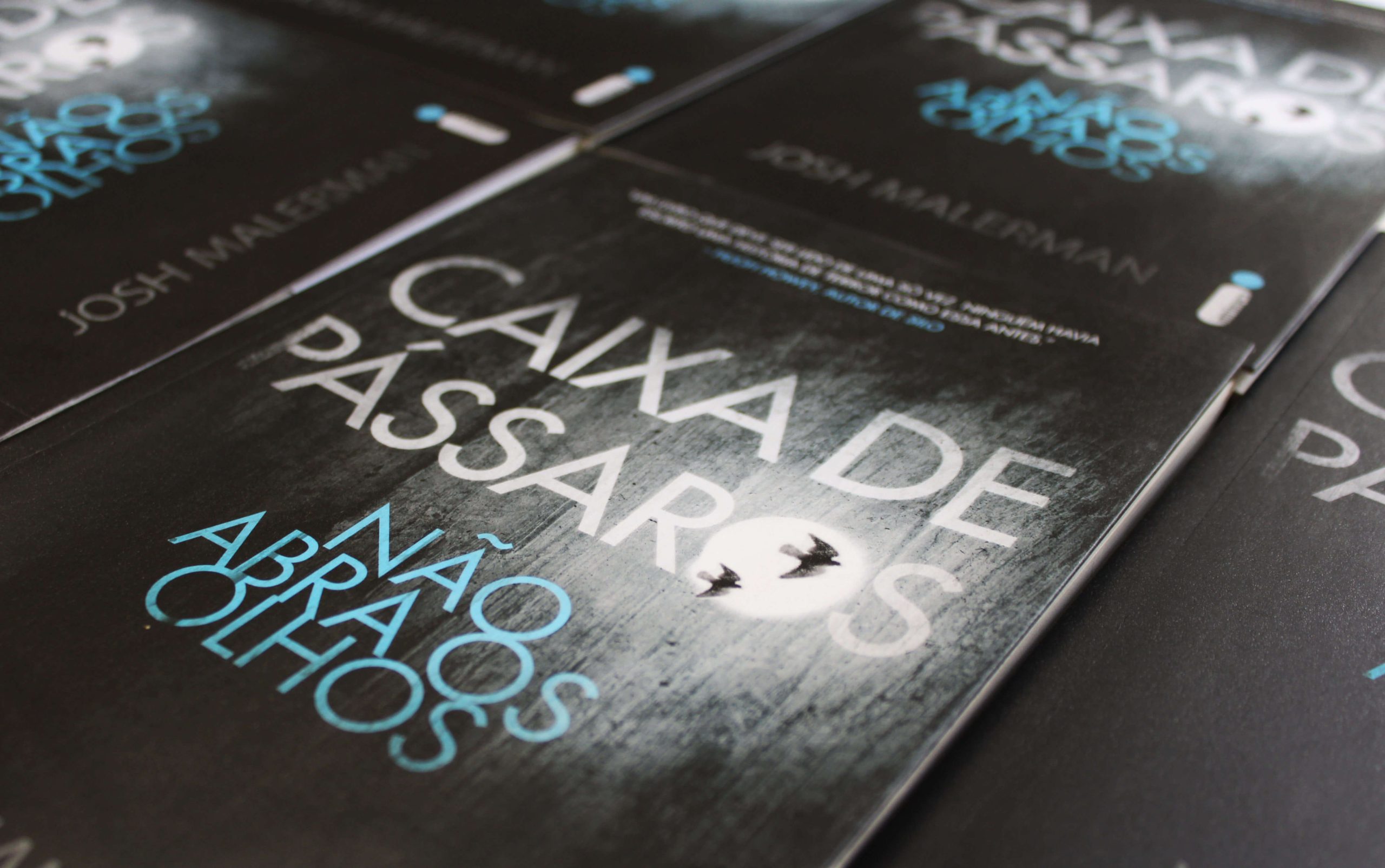 Ler é Bom, Vai | A sombria história de Caixa de Pássaros