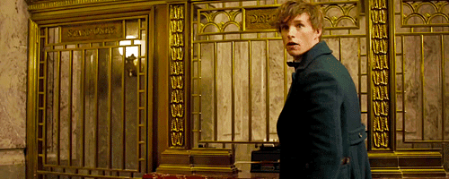 Newt Scamander