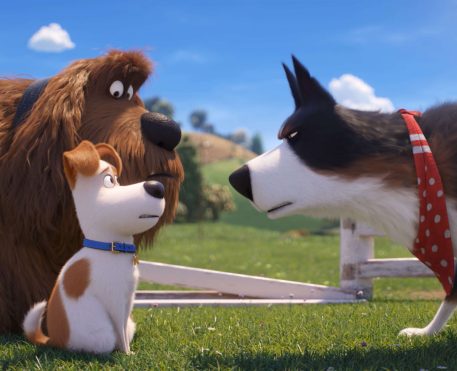 Pets - A Vida Secreta dos Bichos 2