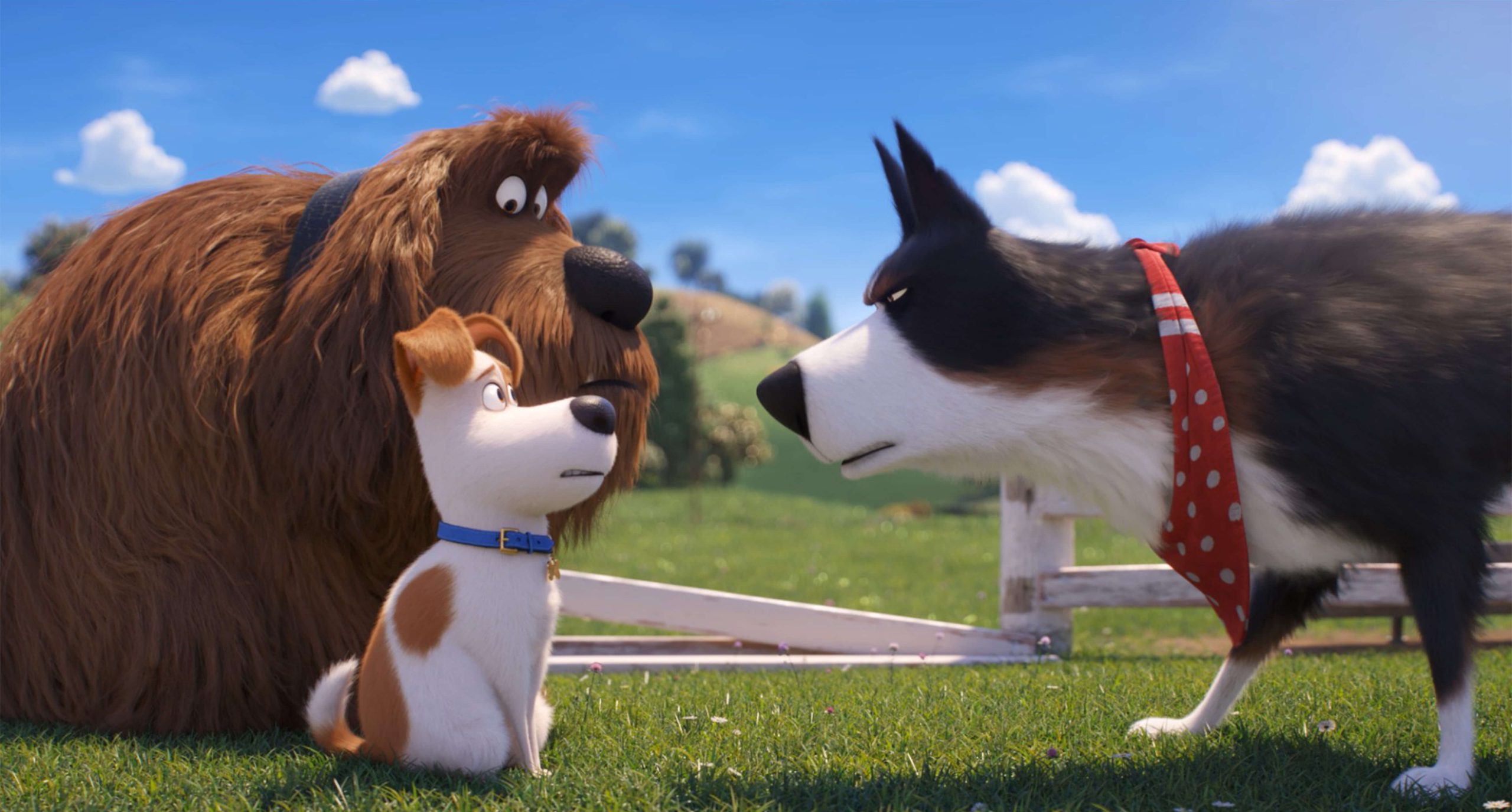 Pets – A Vida Secreta dos Bichos 2 ganha novo e emocionante trailer
