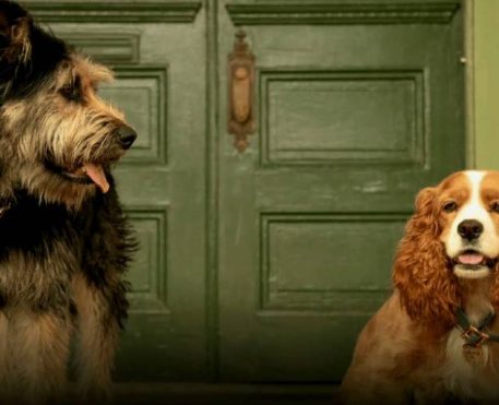 Filmes em live-action da Disney e Disney+