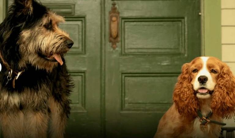 Filmes em live-action da Disney e Disney+