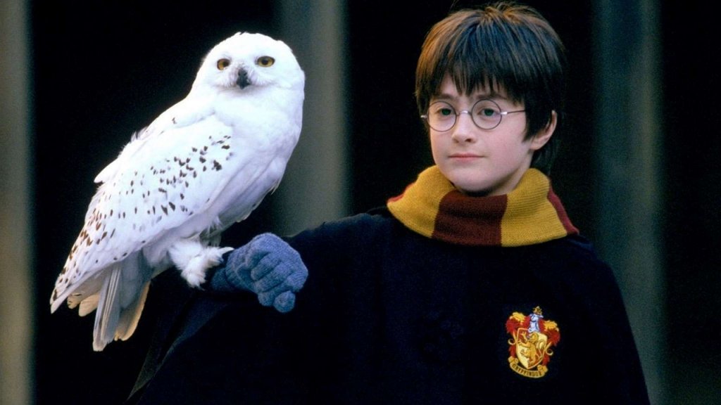 Harry Potter