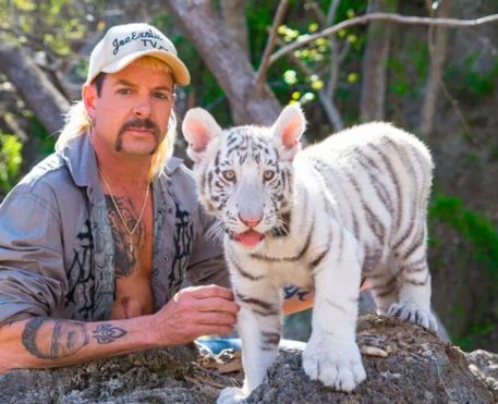 A Máfia dos Tigres 2