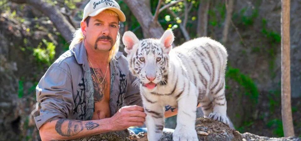 A Máfia dos Tigres 2