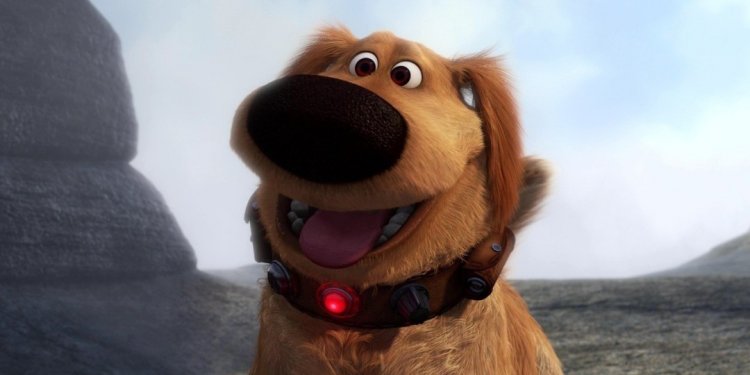 Melhores cães do cinema