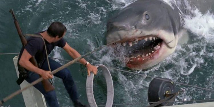 Tubarão (1975) para fãs de Stranger Things