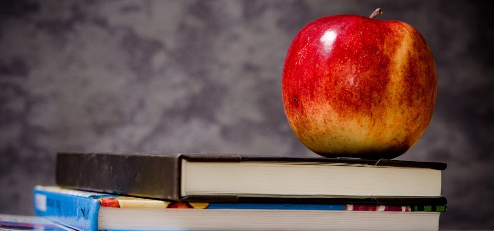 Dicas de livros sobre alimentação