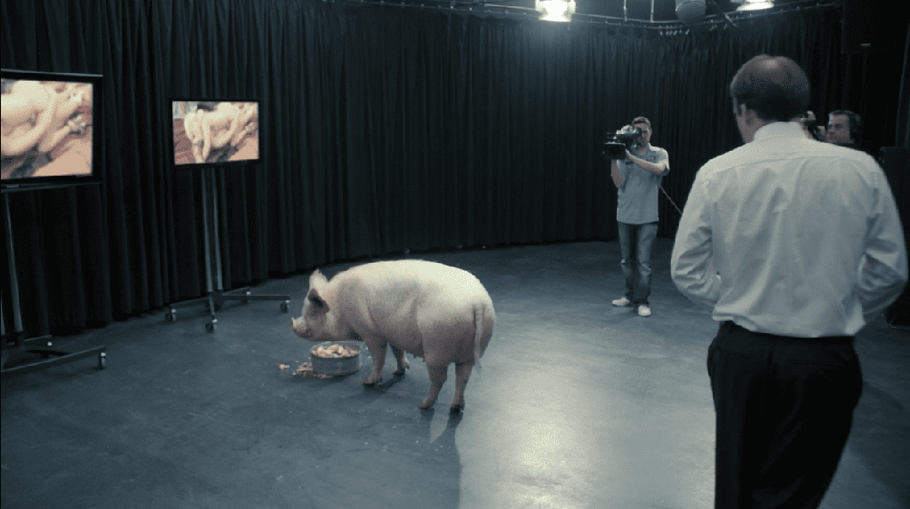 Black Mirror Jogos Vorazes