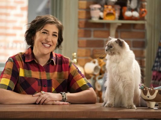 Call Me Kat nova série com estrelas de The Big Bang Theory
