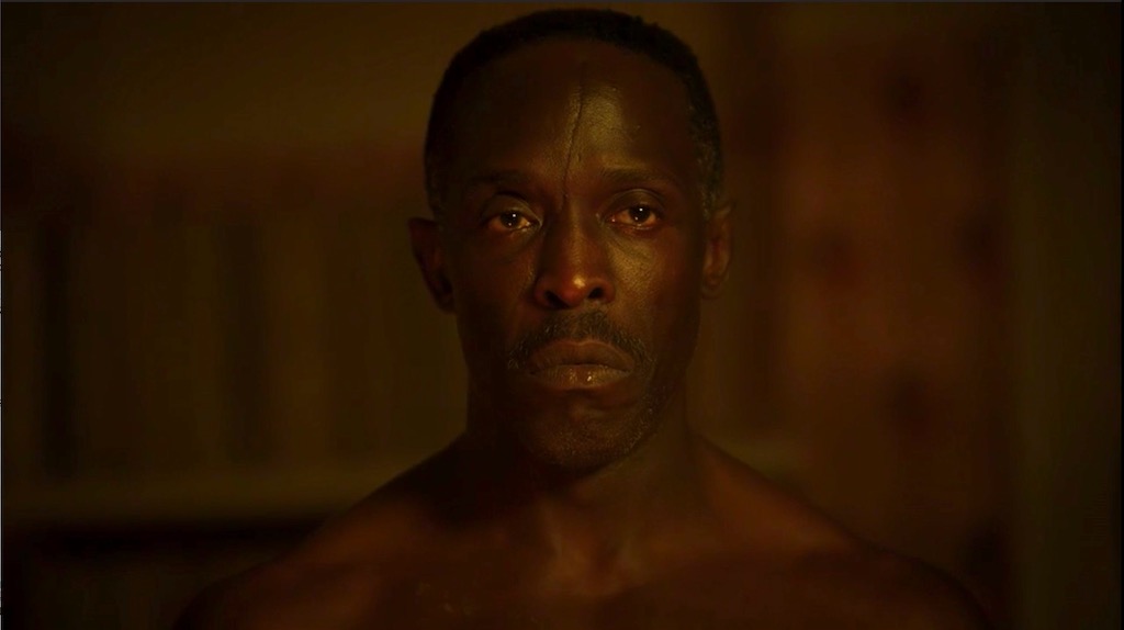 Ator Michael K. Williams, de Lovecraft Country, é encontrado morto em Nova  York - Canaltech