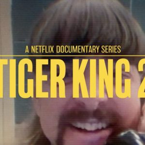 Netflix A Máfia dos Tigres 2