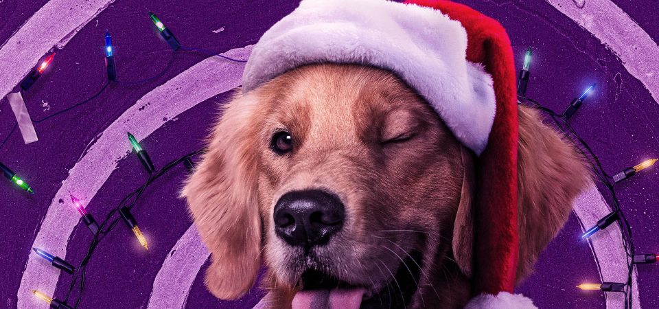Gavião Arqueiro | Série ganha novos cartazes, incluindo do cão Lucky