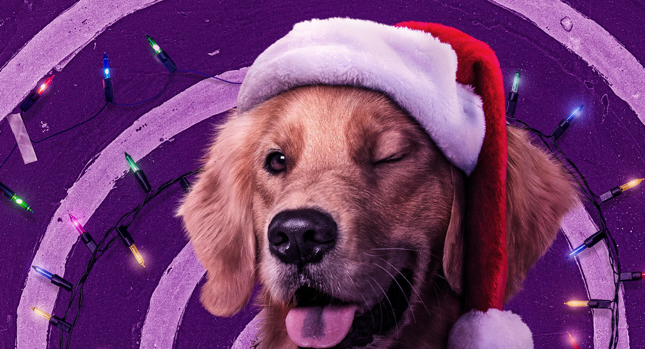 Gavião Arqueiro | Série ganha novos cartazes, incluindo do cão Lucky