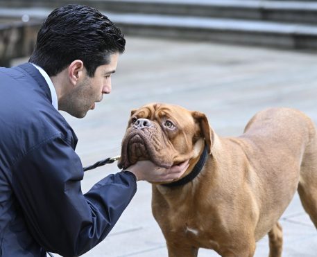 Turner & Hooch | Série do Disney+ é cancelada após uma temporada
