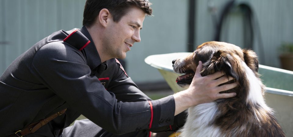O Resgate de Ruby da Netflix com Grant Gustin