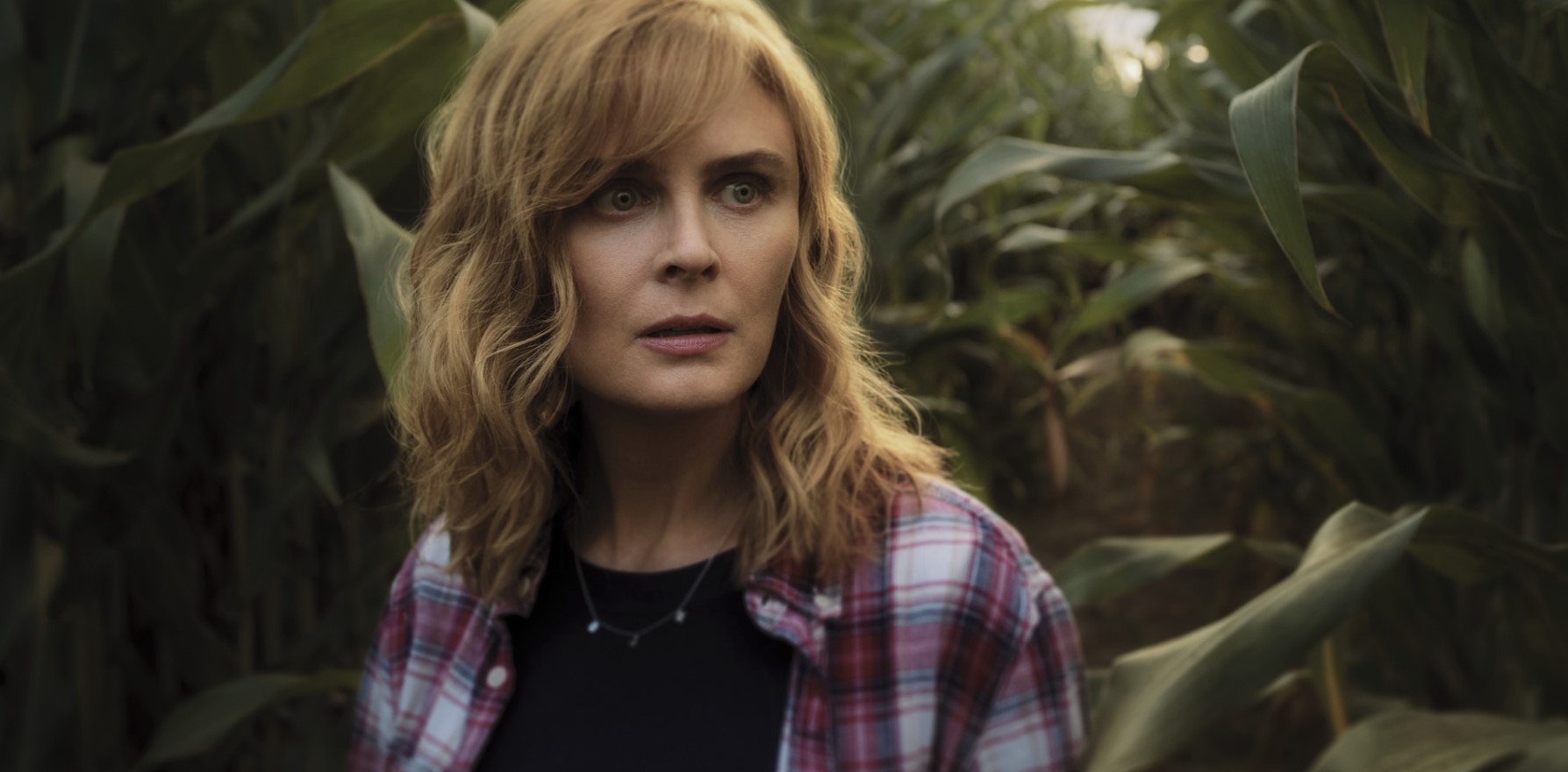 Emily Deschanel em O Diabo em Ohio da Netflix