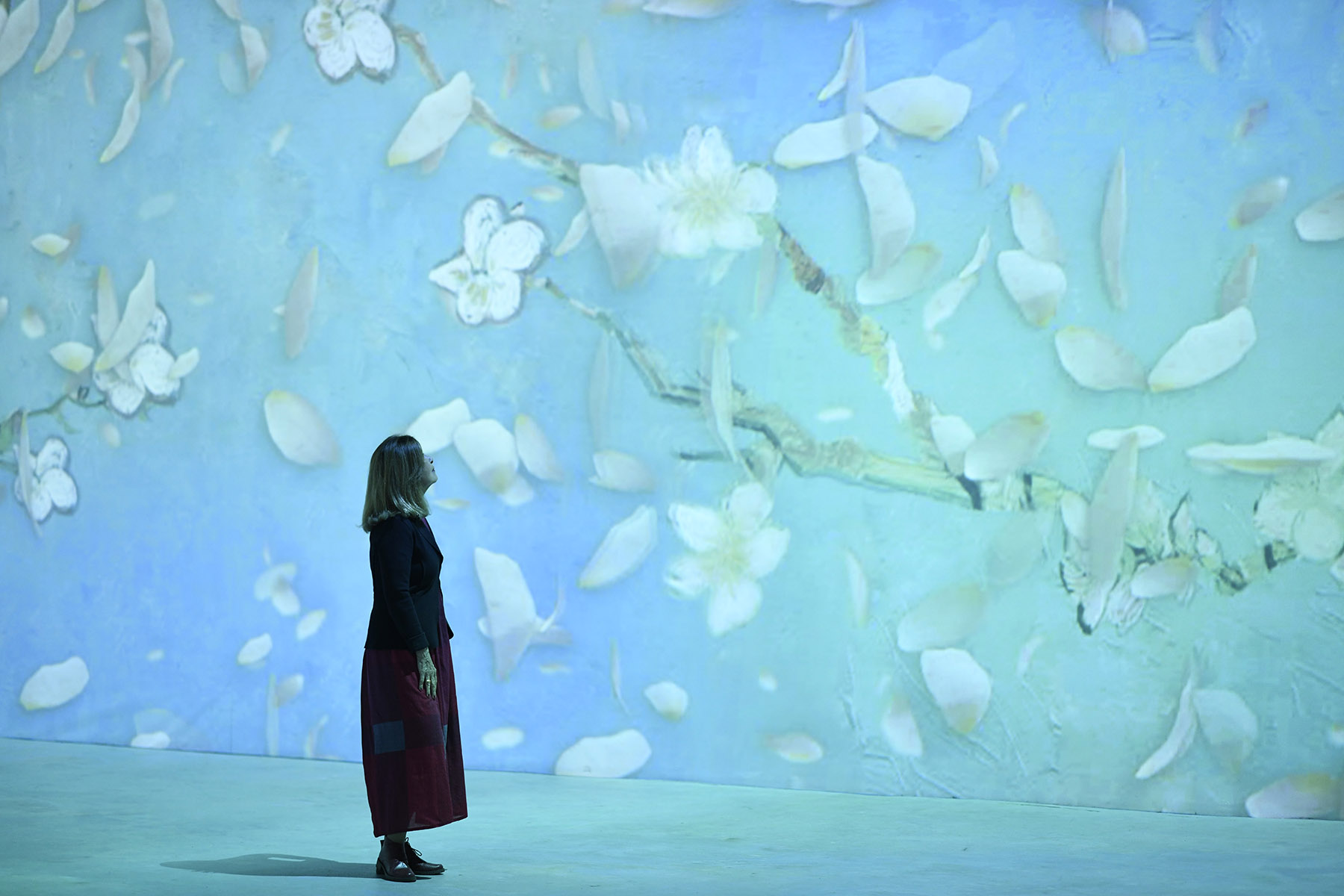Van Gogh Live 8k