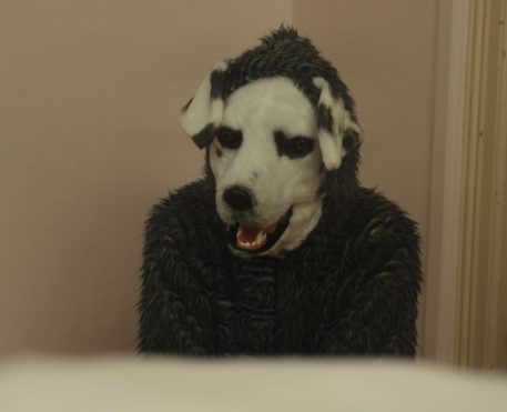Good Boy I Crítica