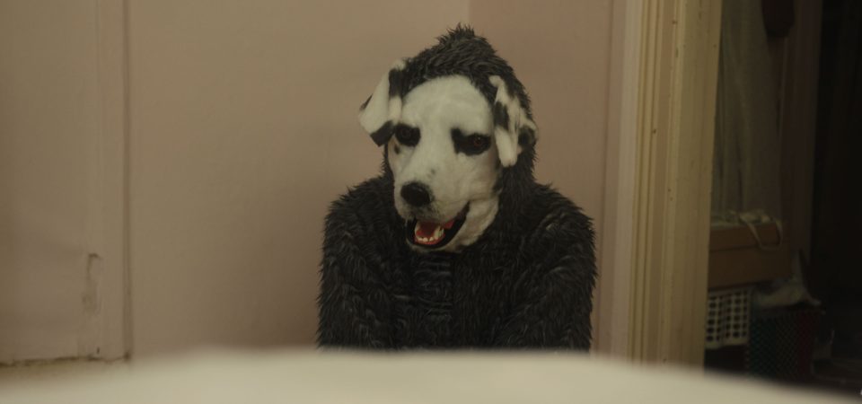Good Boy