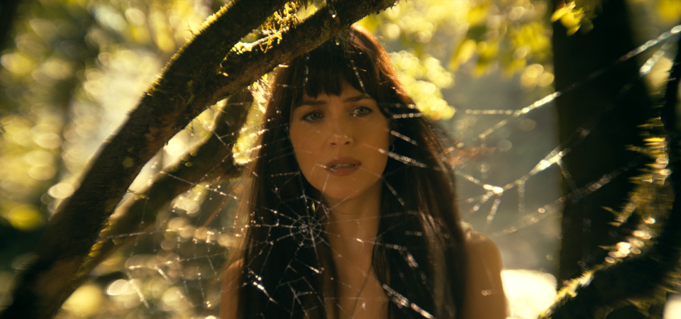 Madame Teia | Filme com Dakota Johnson ganha primeiro trailer