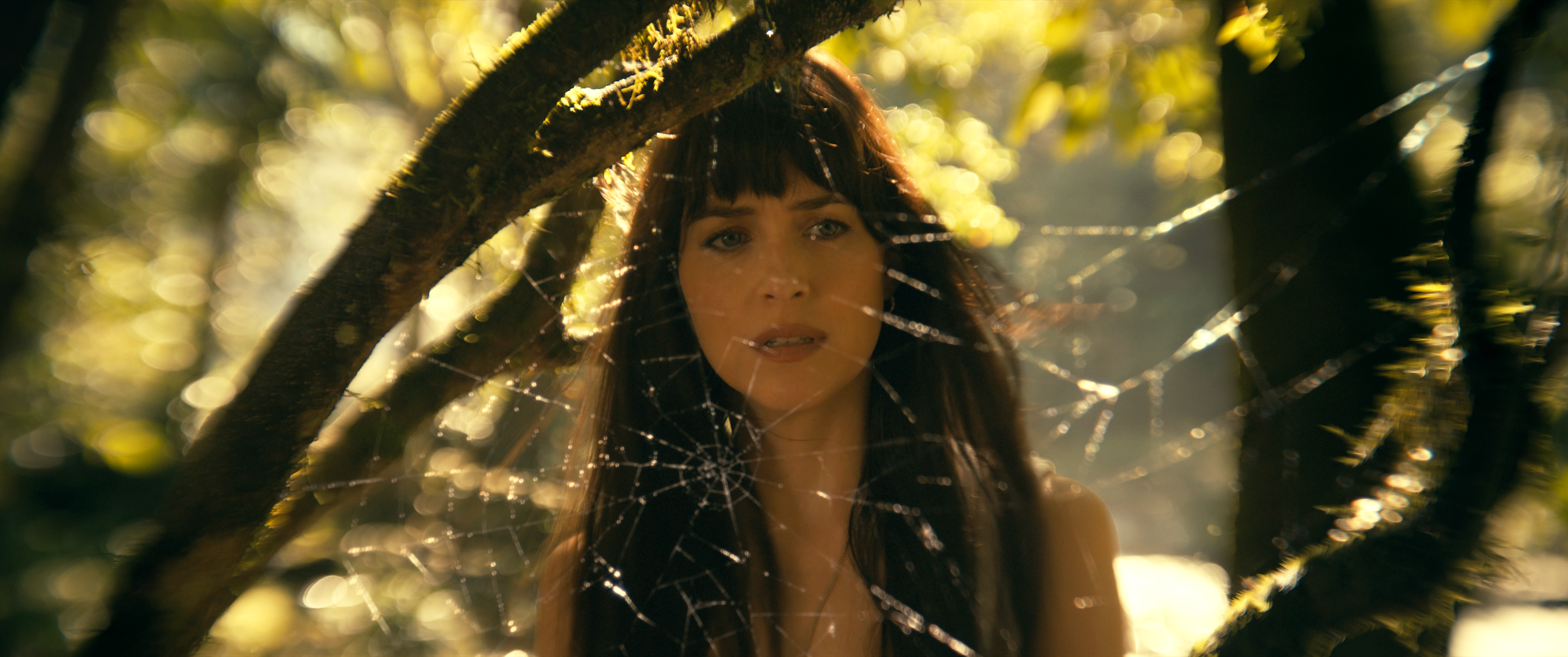 Madame Teia | Filme com Dakota Johnson ganha primeiro trailer