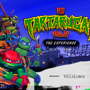 As Tartarugas Ninja: the Experience