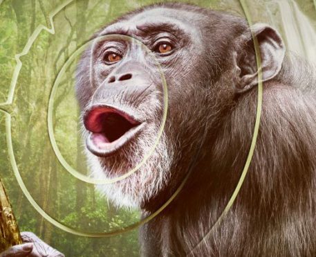 Sons do Planeta I Série narrada por Tom Hiddleston estreia hoje!