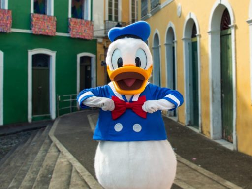 Donald em Salvador