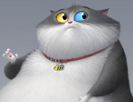 Um Gato de Sorte ganha cartaz e primeiro trailer