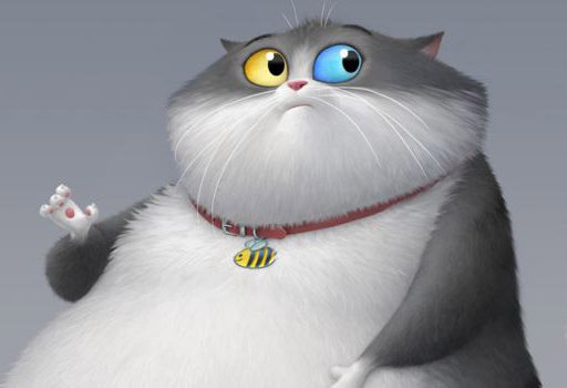 Um Gato De Sorte