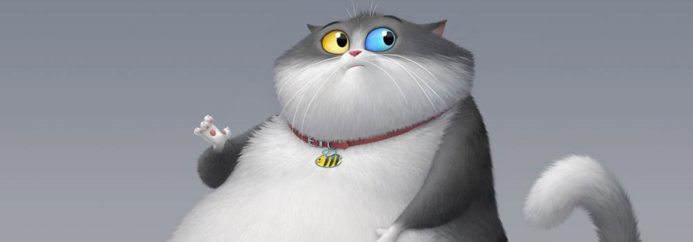Um Gato De Sorte