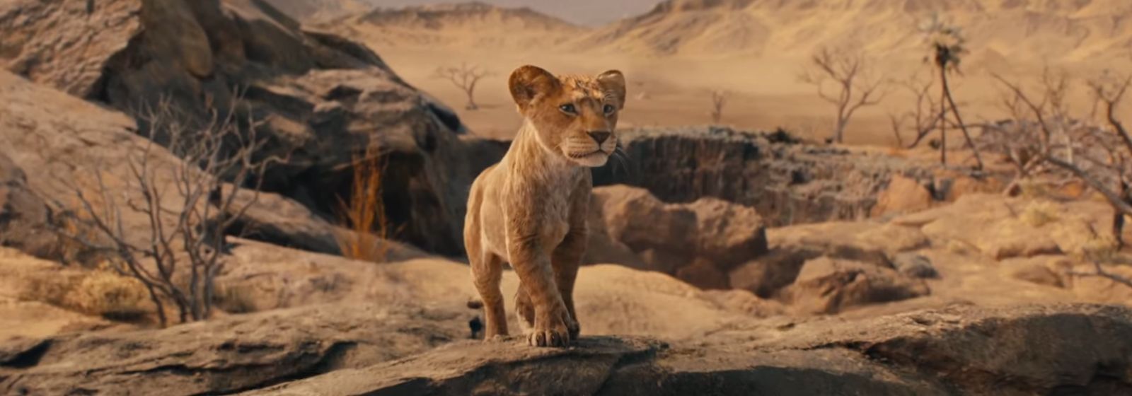Mufasa: O Rei Leão ganha trailer com o tema clássico do filme