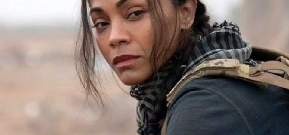 Lioness