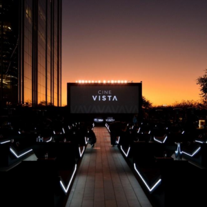 Cine Vista