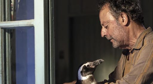 Meu Amigo Pinguim