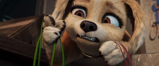 Pets Em Ação!