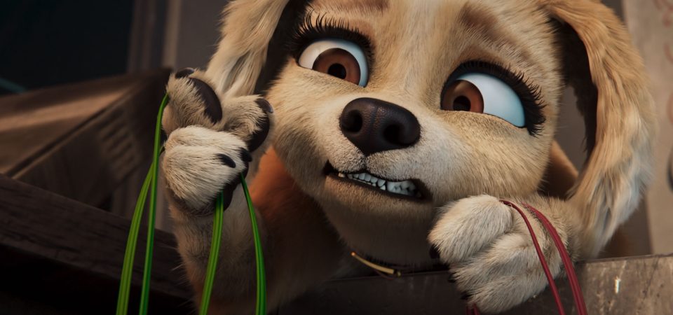 Pets Em Ação!
