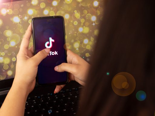 5 Melhores Sites para Comprar Seguidores no TikTok (Barato e Instantâneo)
