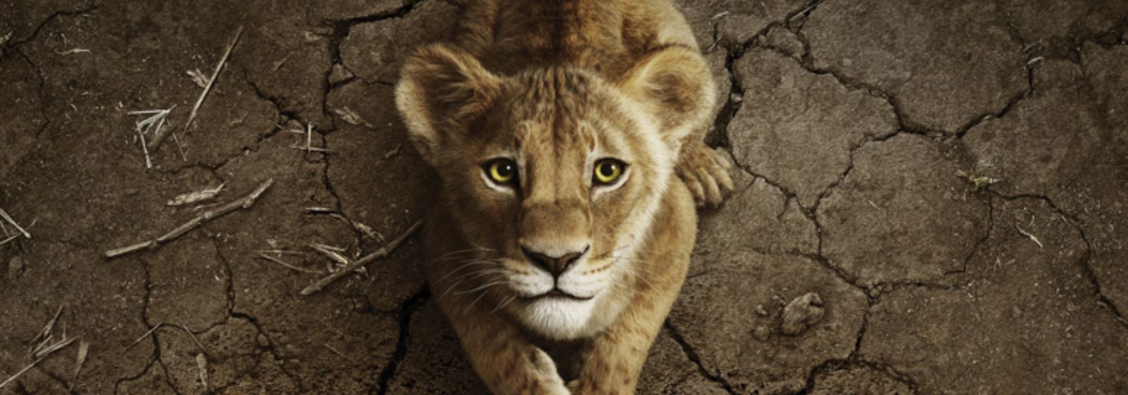 Mufasa: O Rei Leão ganha novo trailer e cartaz na D23