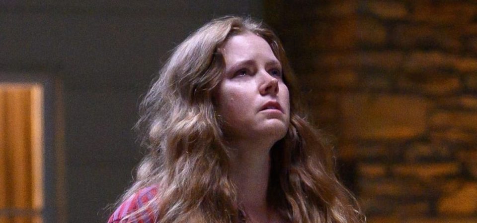 Amy Adams se transforma em cachorro no trailer de Nightbitch