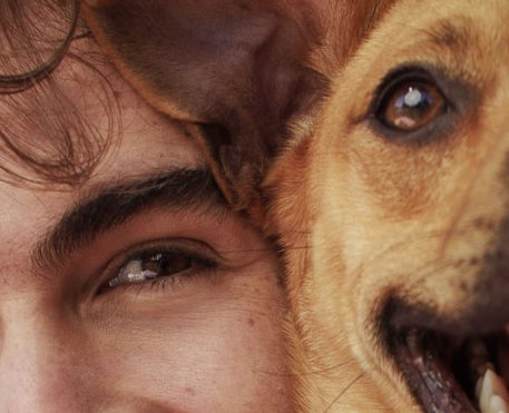 Netflix anuncia início da produção de novos filmes brasileiros ainda em 2024