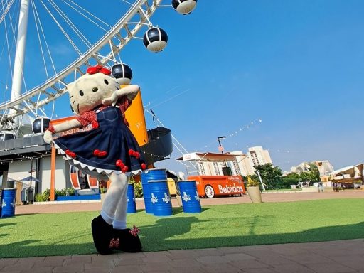 Hello Kitty Roda Rico
