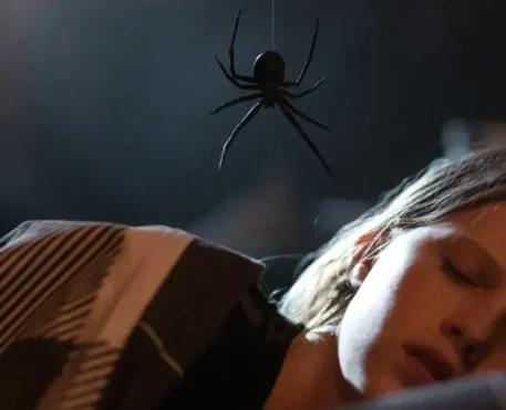 Sting - Aranha Assassina