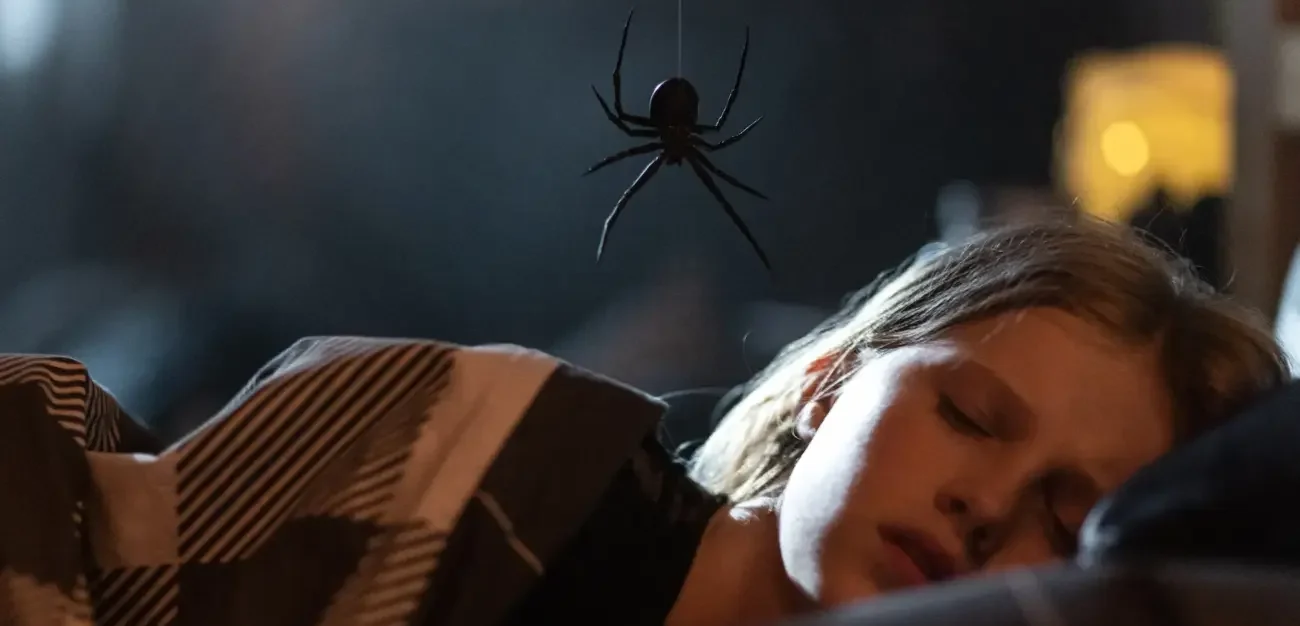Sting - Aranha Assassina