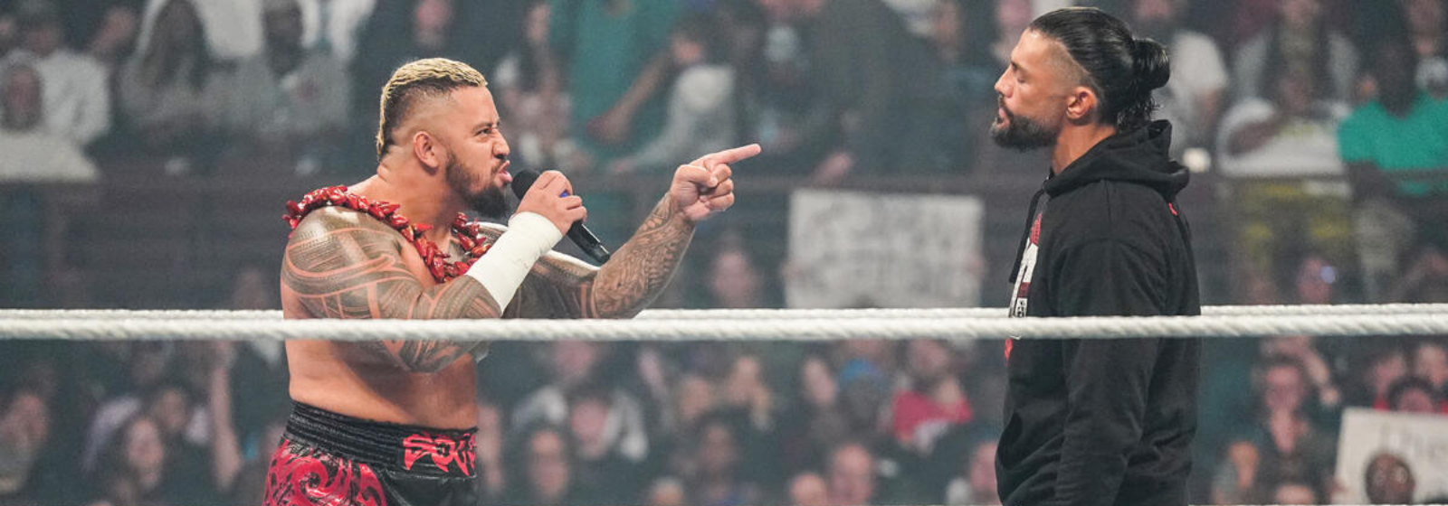 WWE na Netflix | Guia definitivo para acompanhar os programas